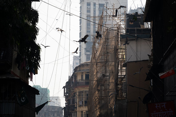 MUMBAI DIRECTOR SCOUT DAY 2-157 MUMBAI DIRECTOR SCOUT DAY 2-157