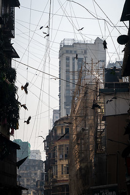 MUMBAI DIRECTOR SCOUT DAY 2-155 MUMBAI DIRECTOR SCOUT DAY 2-155