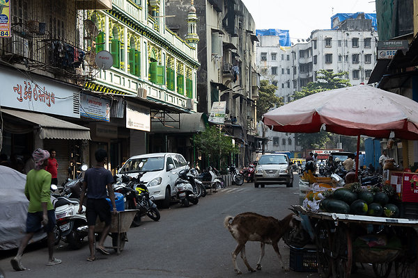 MUMBAI DIRECTOR SCOUT DAY 2-93 MUMBAI DIRECTOR SCOUT DAY 2-93