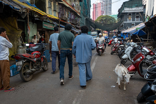 MUMBAI DIRECTOR SCOUT DAY 2-81 MUMBAI DIRECTOR SCOUT DAY 2-81