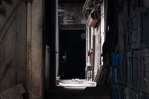 MUMBAI DIRECTOR SCOUT DAY 2-114 MUMBAI DIRECTOR SCOUT DAY 2-114