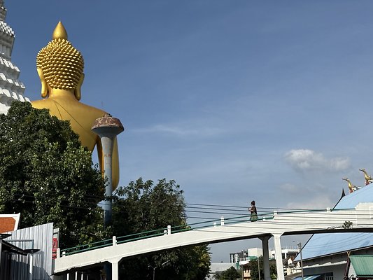 IMG 2782 IMG 2782